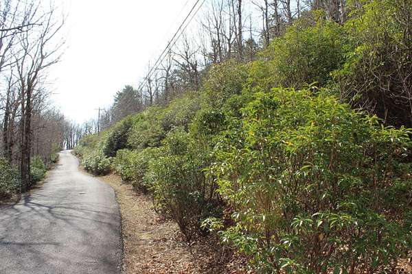 1 Acre of Land for Sale in Columbus, North Carolina