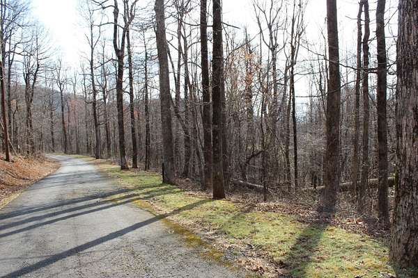 1 Acre of Land for Sale in Columbus, North Carolina