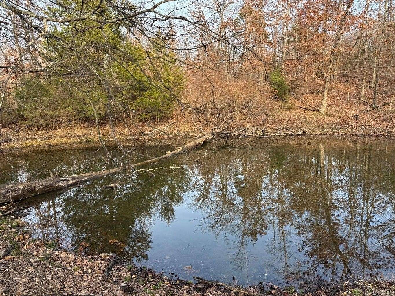 33.3 Acres of Land for Sale in Ash Flat, Arkansas