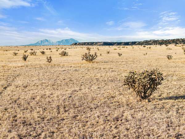 60 Acres of Land for Sale in Avondale, Colorado