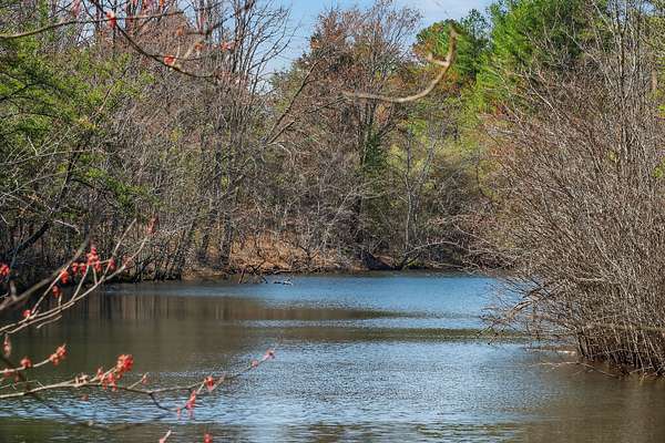 261 Acres of Land for Sale in Spencer, Tennessee