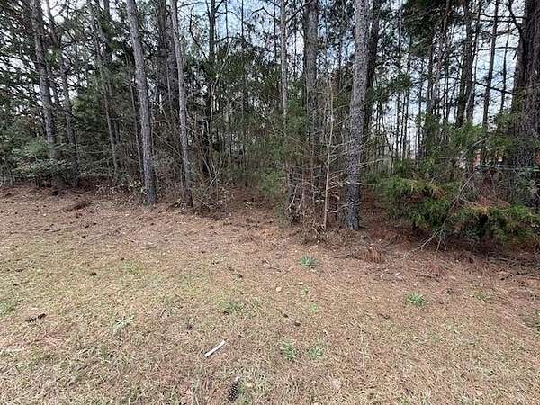 1 Acre of Residential Land for Sale in Pine Mountain, Georgia