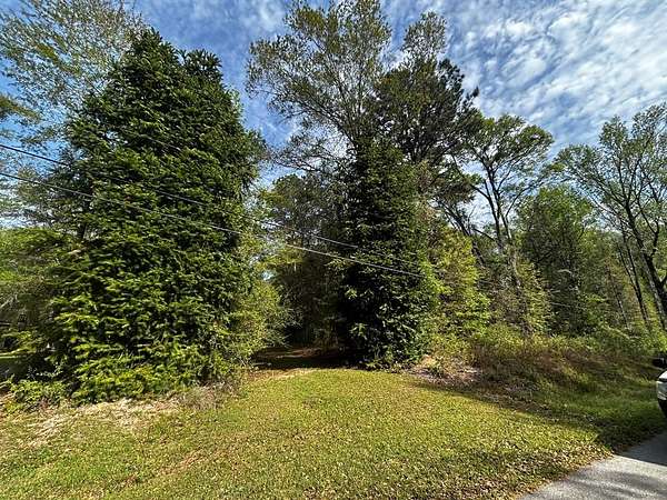 2.74 Acres of Residential Land for Sale in Carriere, Mississippi