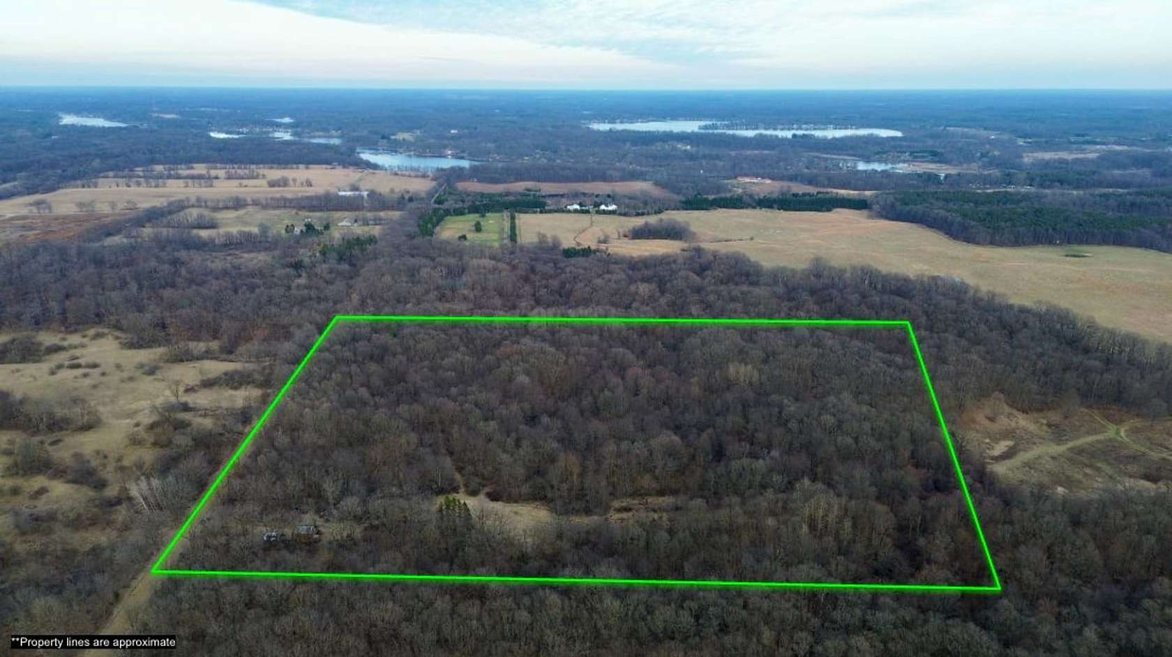40 Acres of Land for Auction in Delton, Michigan