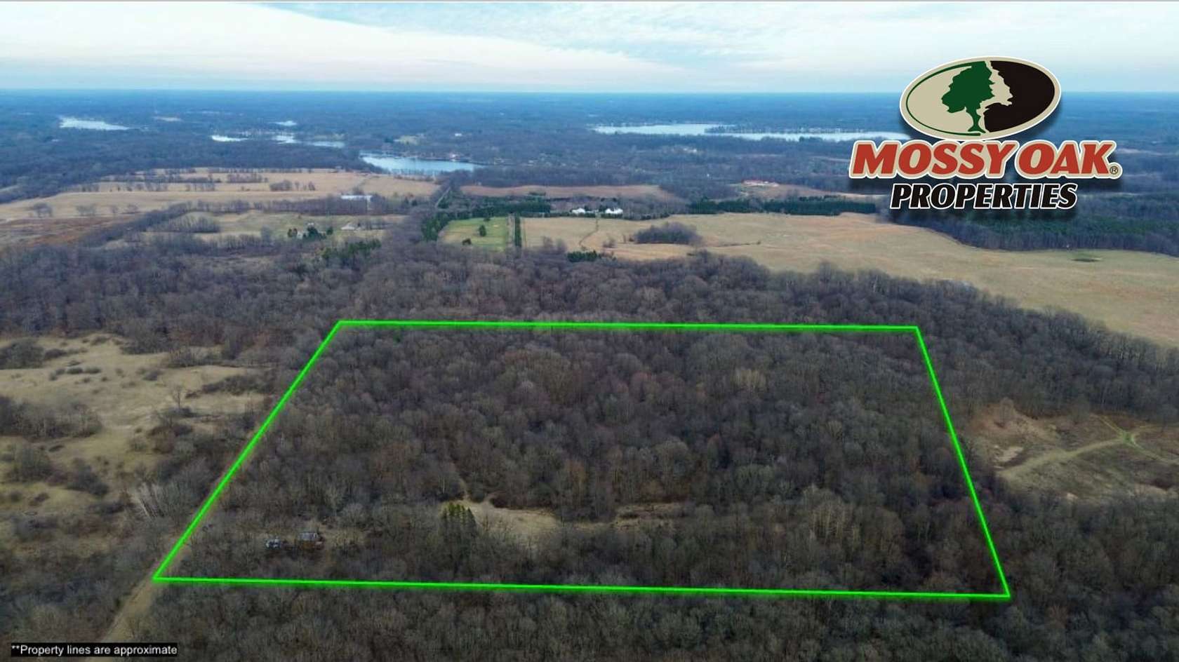 40 Acres of Land for Auction in Delton, Michigan