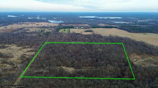 40 Acres of Land for Auction in Delton, Michigan
