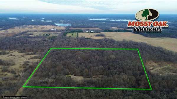 40 Acres of Land for Auction in Delton, Michigan