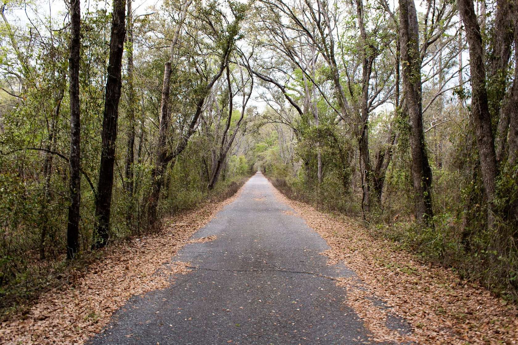 1 Acre of Land for Sale in Pinetta, Florida