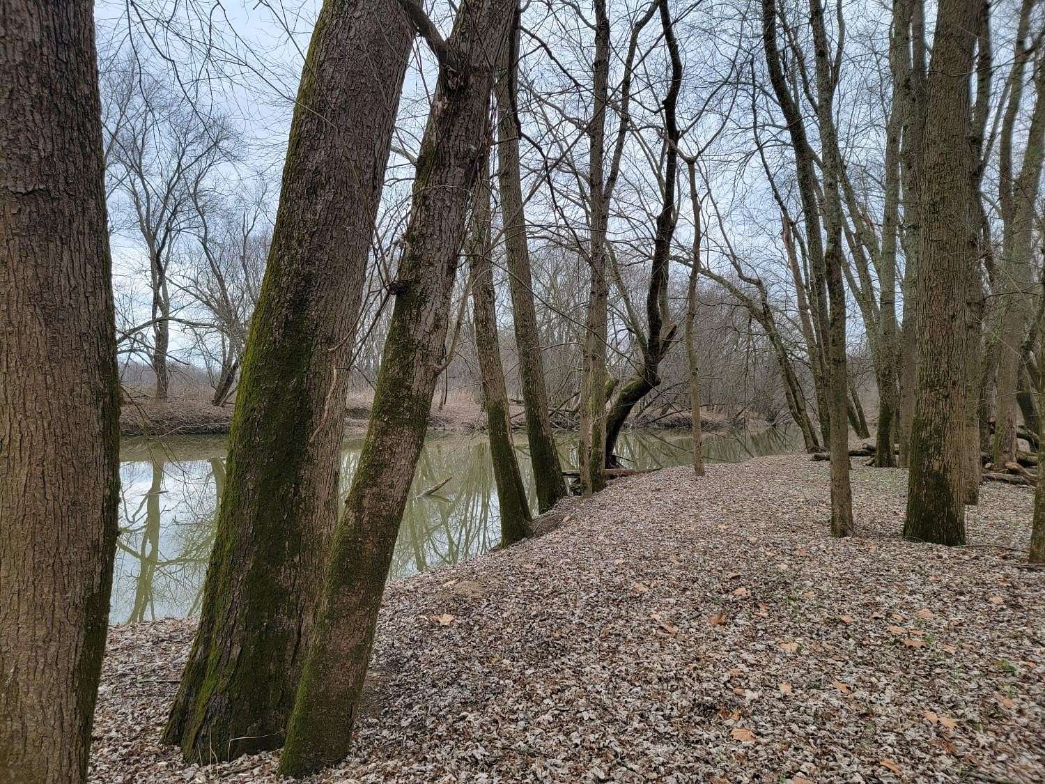 7.46 Acres of Residential Land for Sale in Aurora, Indiana