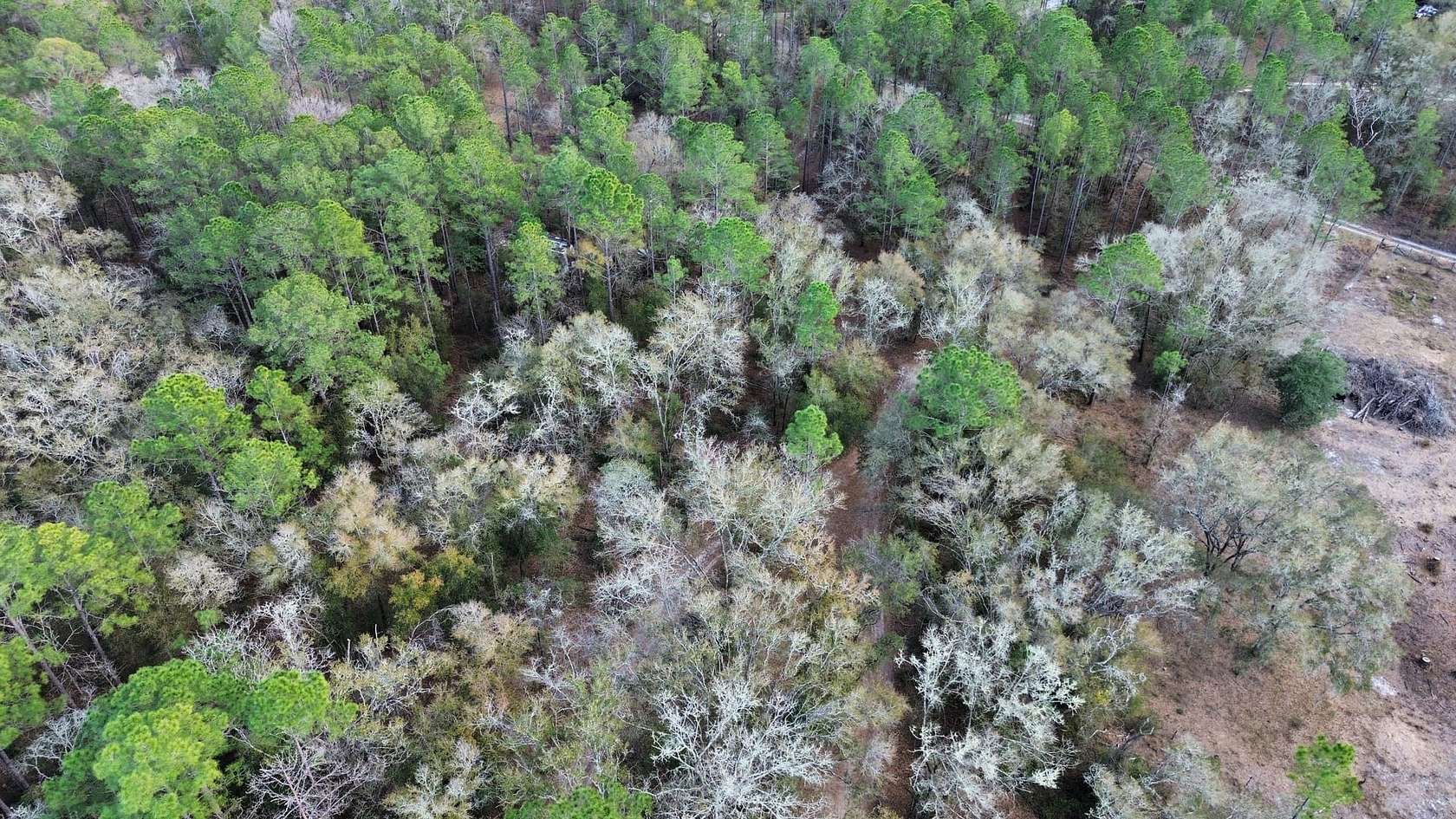 2.89 Acres of Land for Sale in Crystal River, Florida