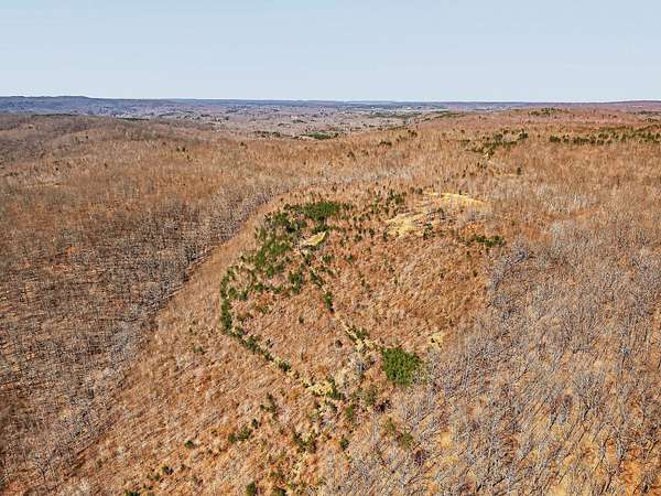 274 Acres of Land for Sale in Palmer, Tennessee