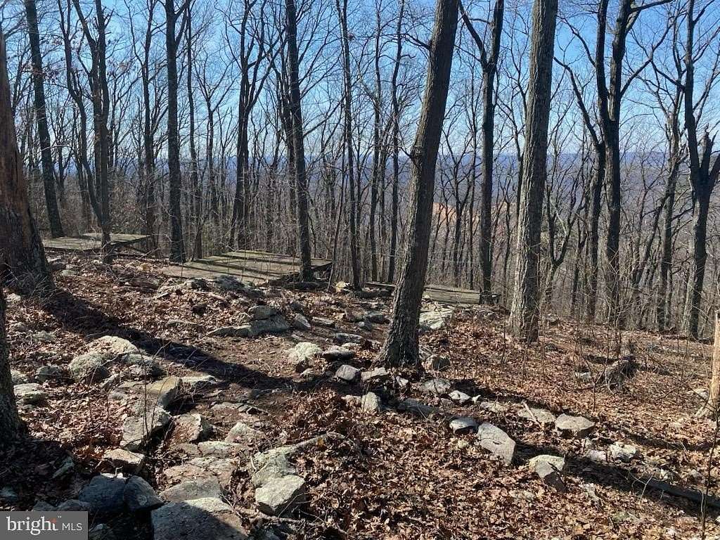 22.4 Acres of Recreational Land for Sale in Winchester, Virginia
