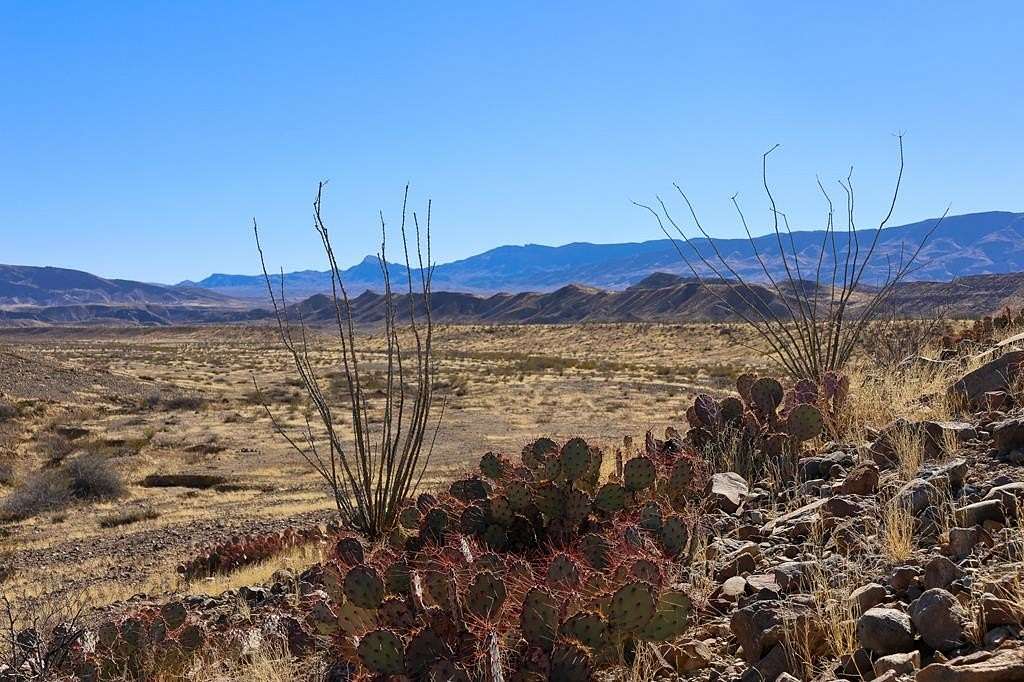520 Acres of Land for Sale in Presidio, Texas