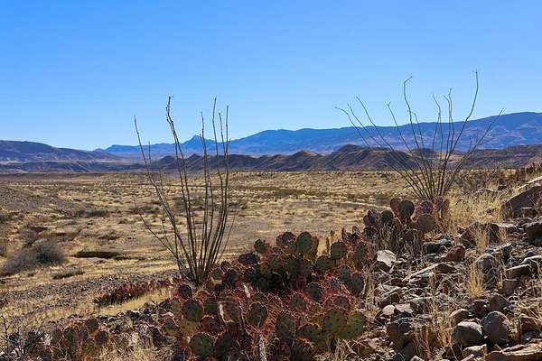 520 Acres of Land for Sale in Presidio, Texas