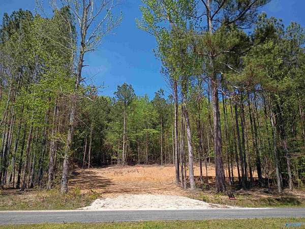 0.9 Acres of Residential Land for Sale in Cedar Bluff, Alabama