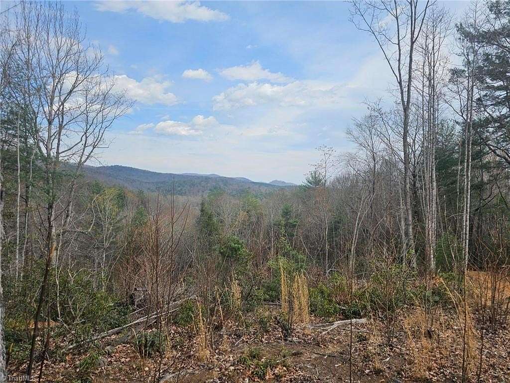 11.3 Acres of Recreational & Residential Land for Sale in McGrady, North Carolina