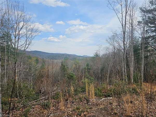 11.3 Acres of Recreational & Residential Land for Sale in McGrady, North Carolina