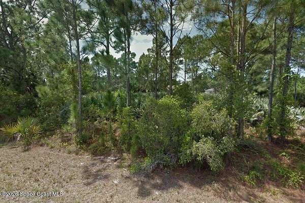 0.23 Acres of Residential Land for Sale in Palm Bay, Florida