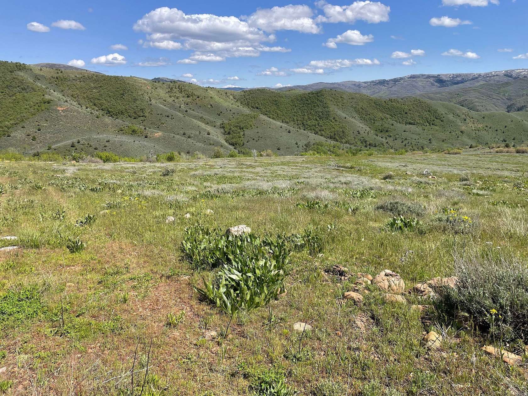 2 Acres of Residential Land for Sale in Huntsville, Utah