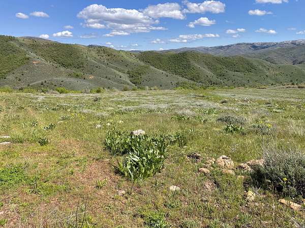 2 Acres of Residential Land for Sale in Huntsville, Utah