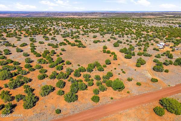 1 Acre of Residential Land for Sale in Concho, Arizona