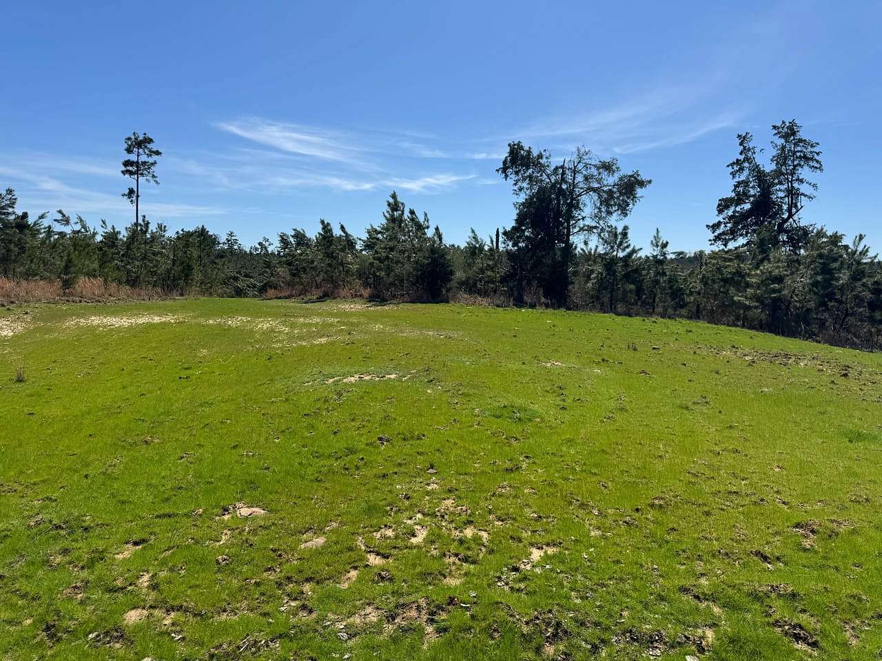 210 Acres of Recreational Land for Sale in Duck Hill, Mississippi