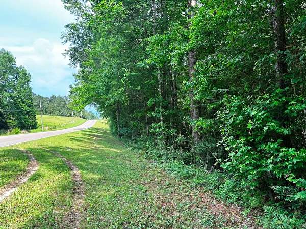 16.5 Acres of Land for Sale in Hattiesburg, Mississippi