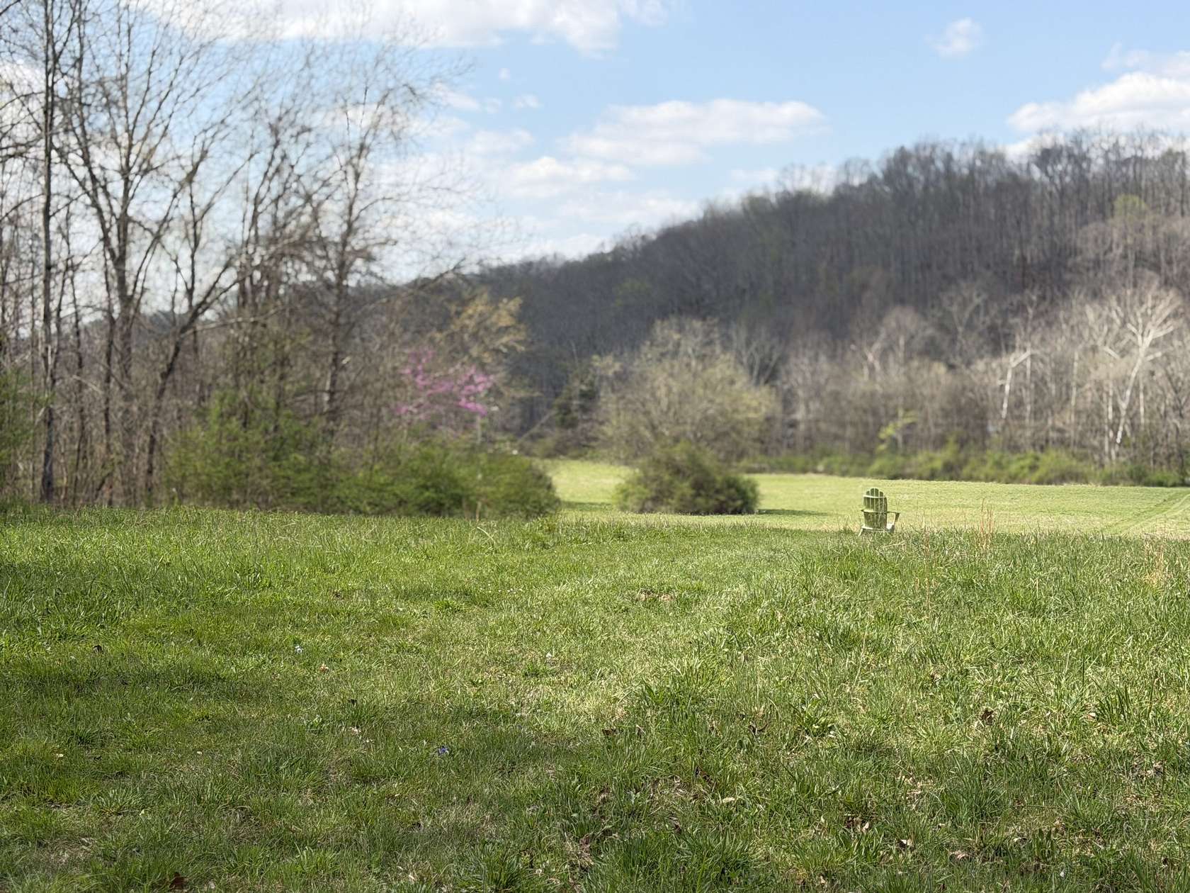 73.2 Acres of Land for Sale in Franklin, Tennessee