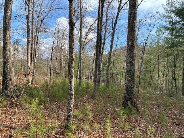 0.86 Acres of Residential Land for Sale in Sevierville, Tennessee