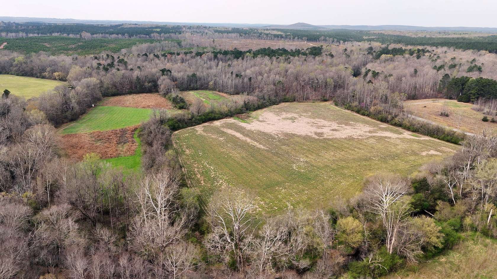 85 Acres of Land for Sale in Troy, North Carolina