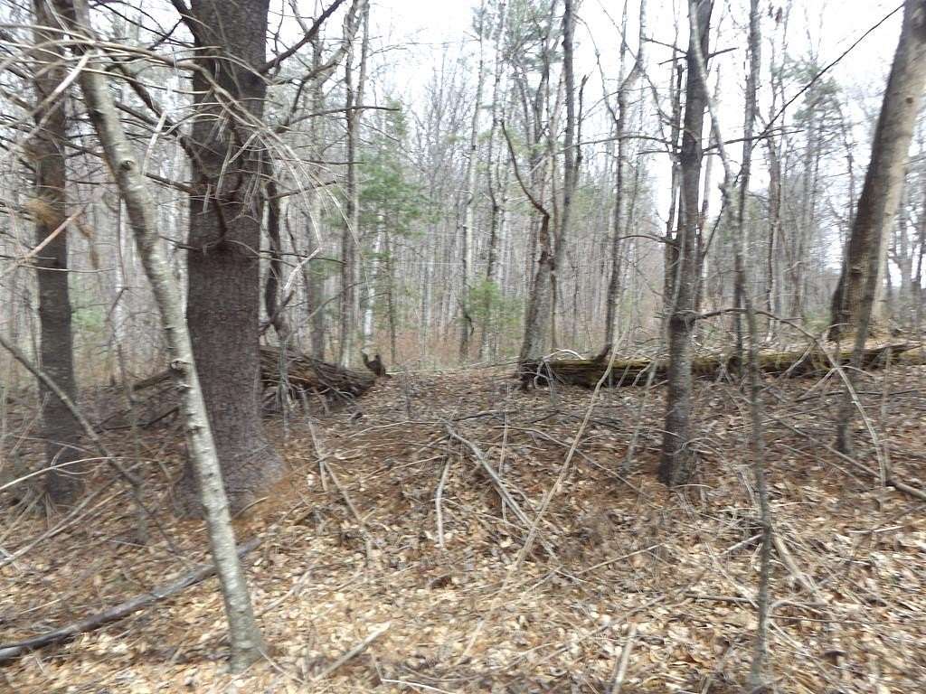 28.5 Acres of Recreational & Residential Land for Sale in Laurel Fork, Virginia