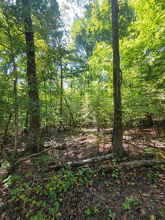 1.47 Acres of Residential Land for Sale in Cleveland, Tennessee