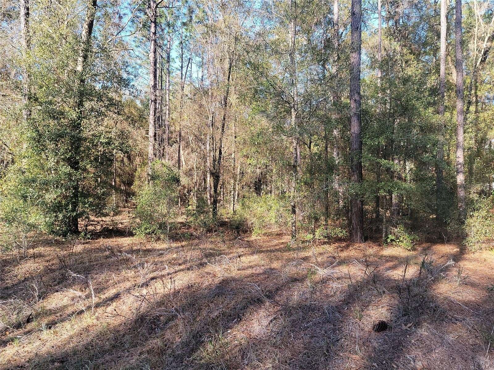 1.16 Acres of Residential Land for Sale in Ocala, Florida