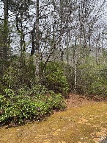 0.72 Acres of Residential Land for Sale in Sapphire, North Carolina