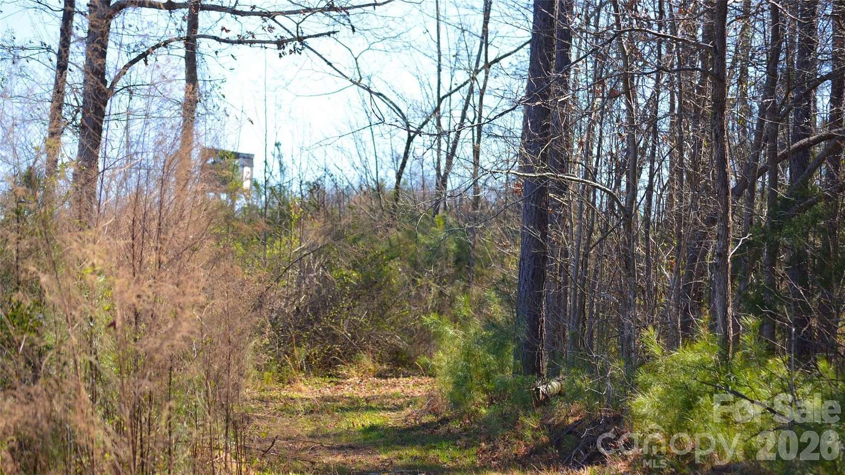 5.24 Acres of Residential Land for Sale in Jonesville, South Carolina