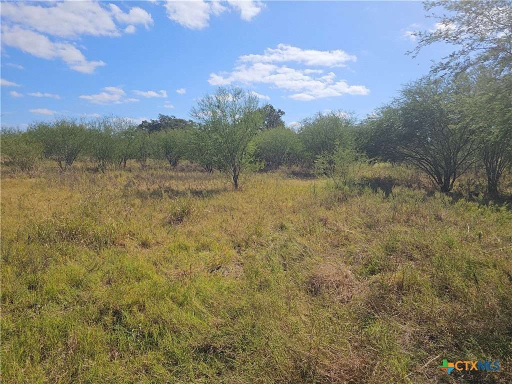 37 Acres of Agricultural Land for Sale in Goliad, Texas
