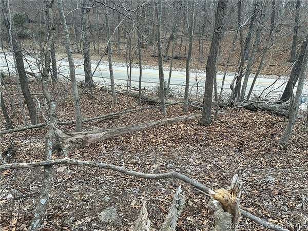 0.37 Acres of Residential Land for Sale in Village of Four Seasons, Missouri