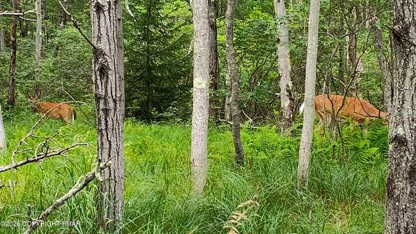 0.34 Acres of Residential Land for Sale in East Stroudsburg, Pennsylvania