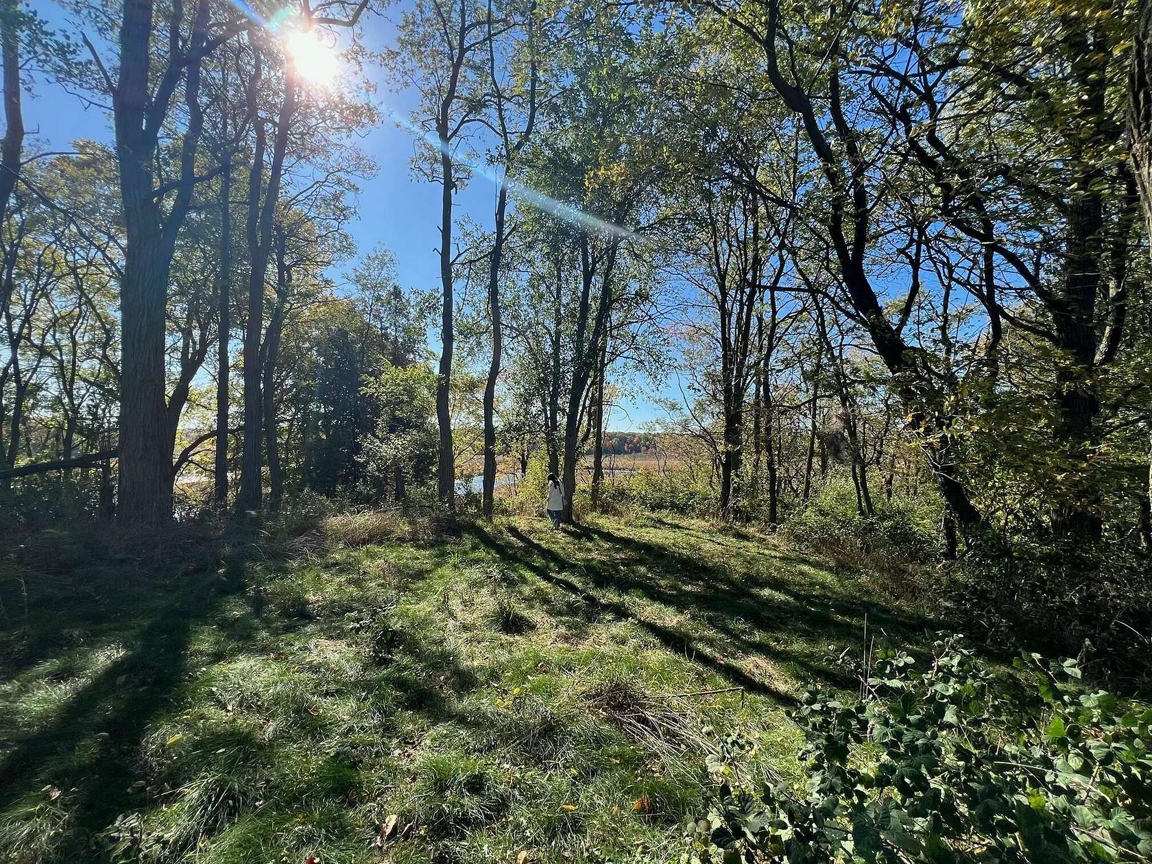 40 Acres of Land for Sale in Pentwater, Michigan