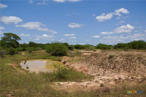 68.8 Acres of Land for Sale in Thomaston, Texas