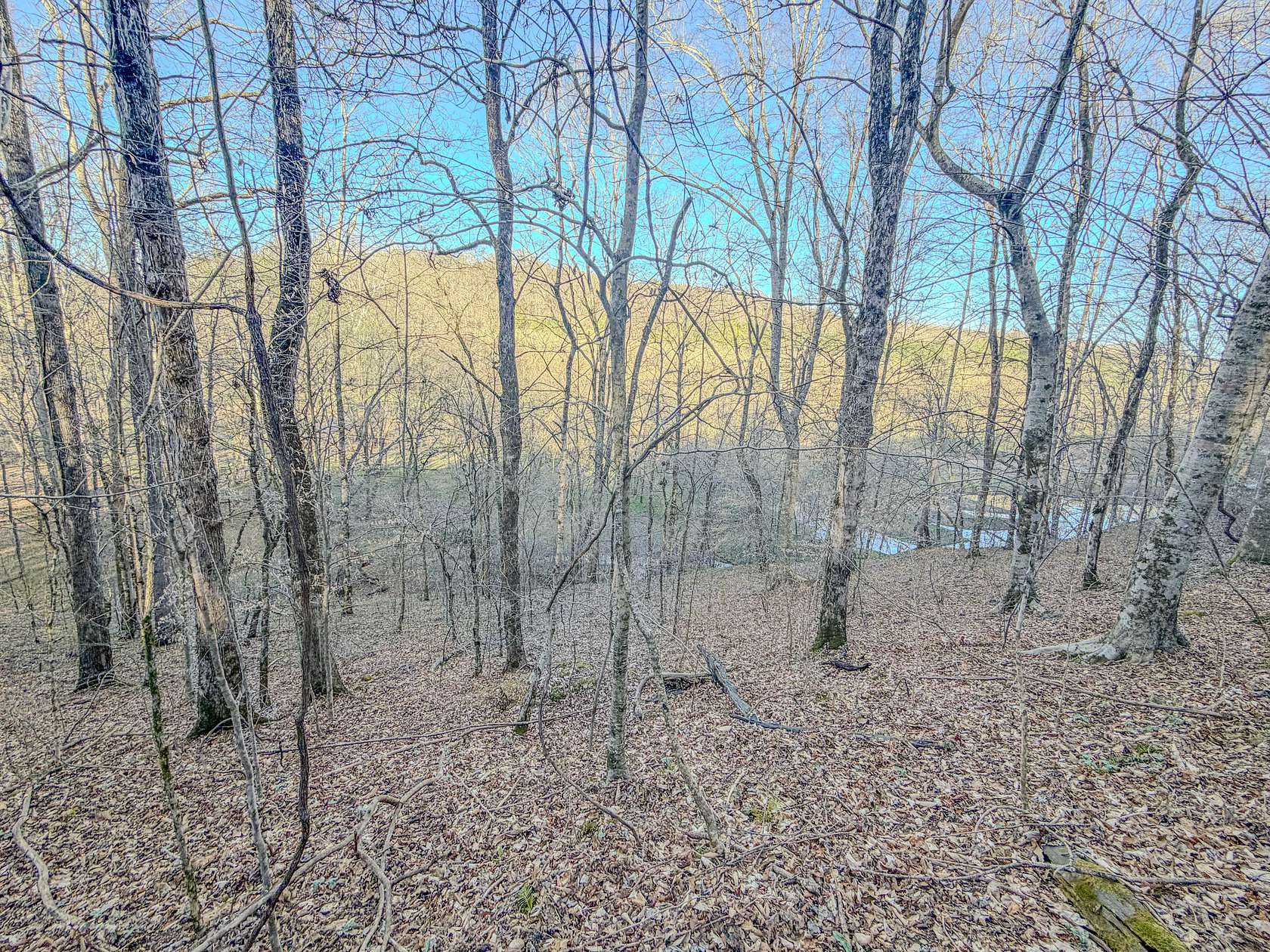 90 Acres of Land for Sale in Westpoint, Tennessee