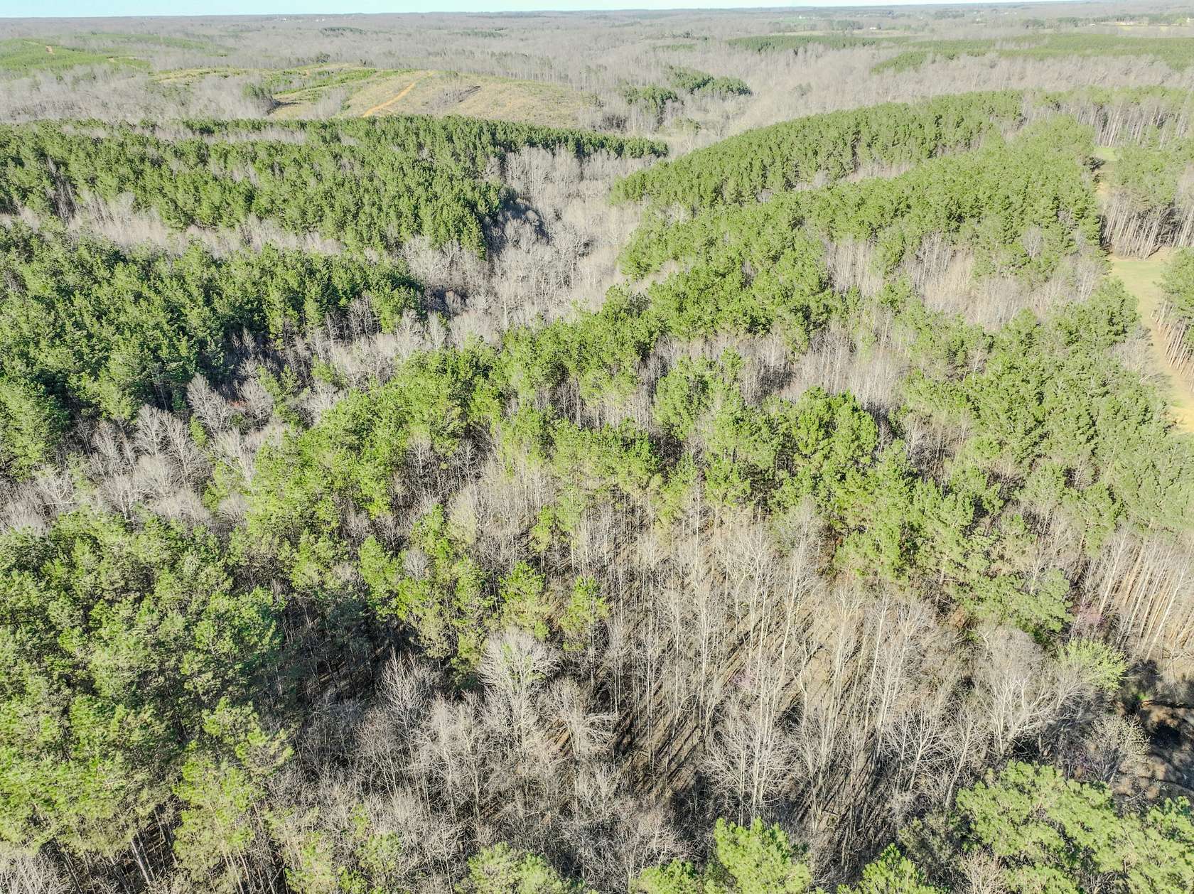 90.1 Acres of Recreational Land for Sale in Westpoint, Tennessee