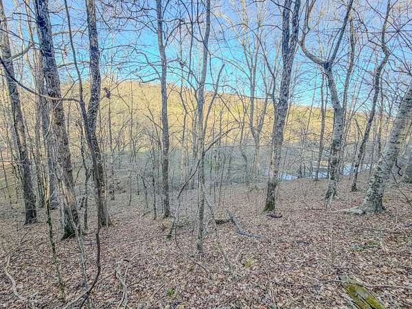 90 Acres of Land for Sale in Westpoint, Tennessee