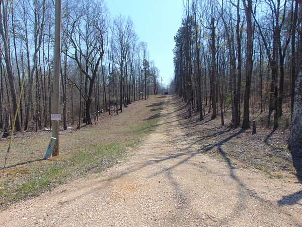 30.5 Acres of Recreational & Residential Land for Sale in Cypress Inn, Tennessee