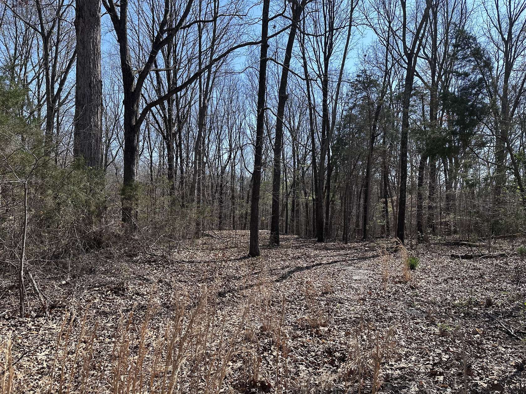 2.9 Acres of Residential Land for Sale in Cross Plains, Tennessee