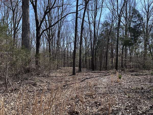 2.9 Acres of Residential Land for Sale in Cross Plains, Tennessee