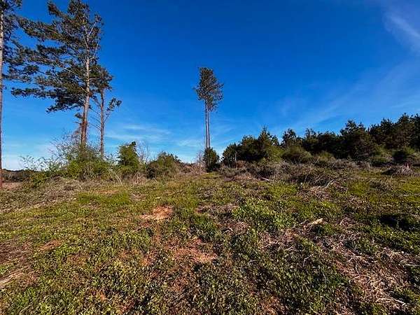 18 Acres of Land for Sale in Dozier, Alabama