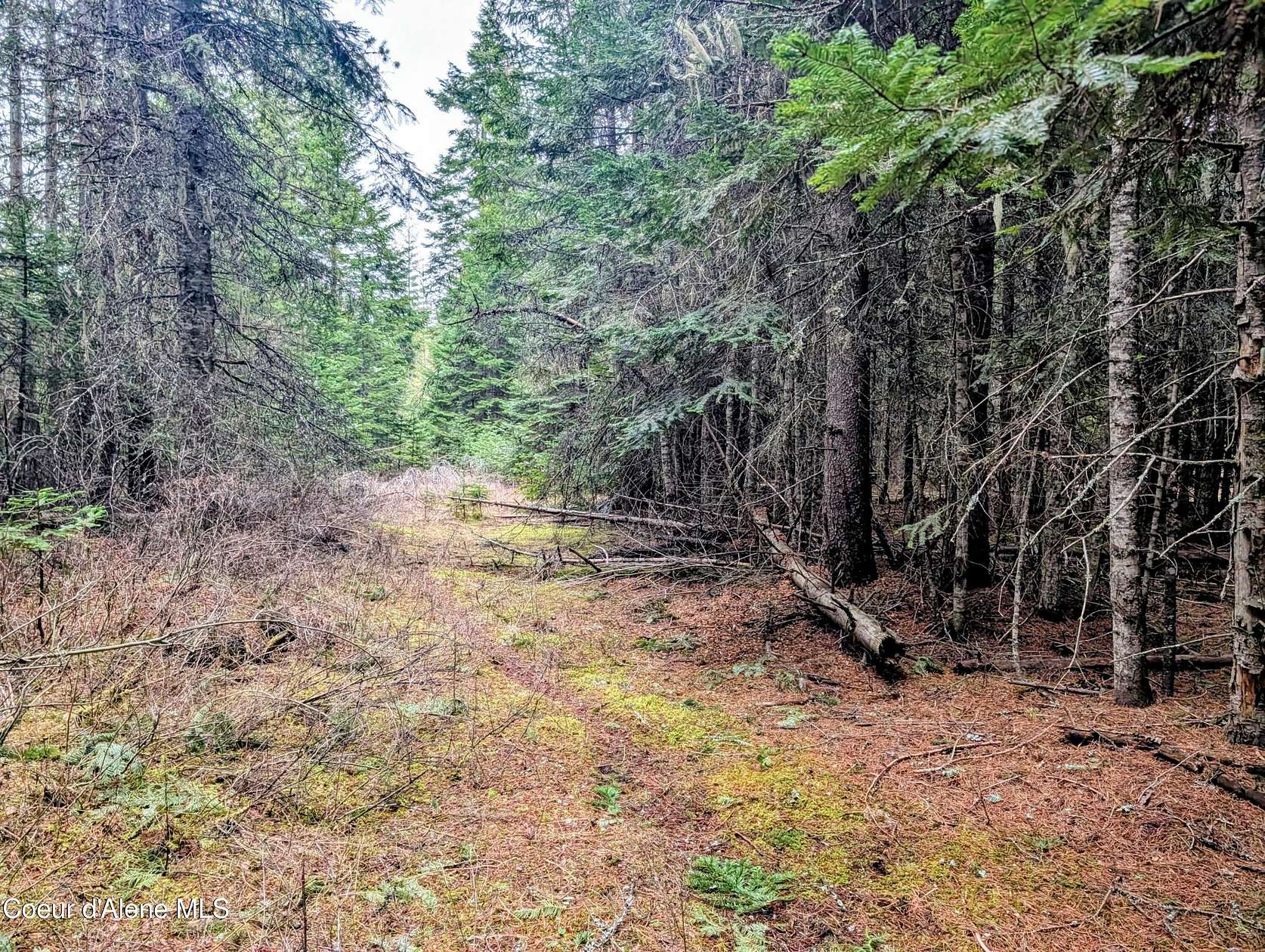 5 Acres of Residential Land for Sale in St. Maries, Idaho