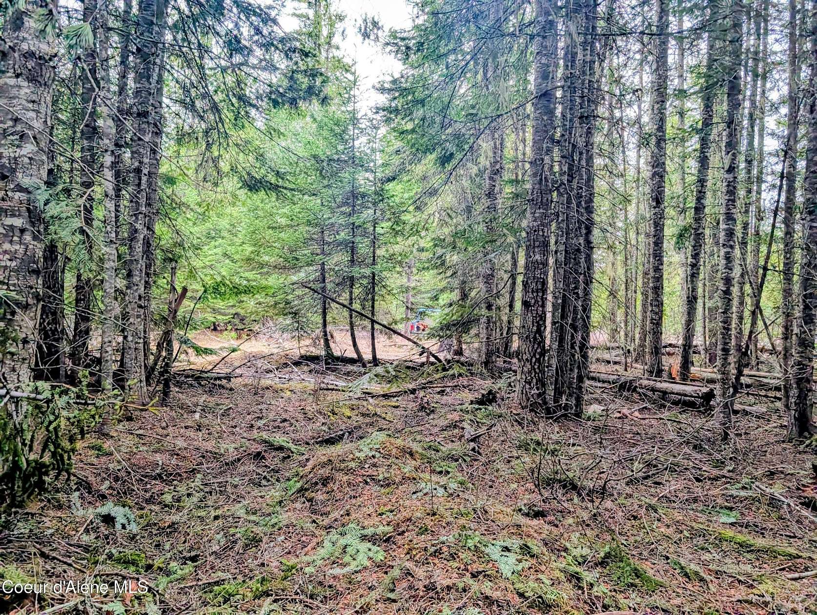 5 Acres of Residential Land for Sale in St. Maries, Idaho