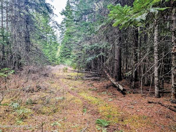 5 Acres of Residential Land for Sale in St. Maries, Idaho